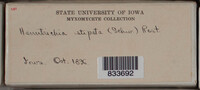Image Associated With the Occurence